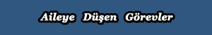 ozel_ders_matematik_ergenlik_donemi_aileye_dusen_gorevler