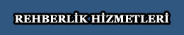 zel matematik dersleri rehberlik hizmetleri