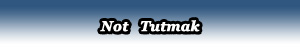 ozel_matematik_ders_not_tutmak