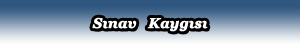 ozel_matematik_ders_sinav_kaygisi
